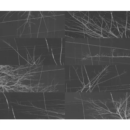 Wall&Deco  CWC  Abstract