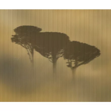 Wall&Deco  CWC  Flower and Paints