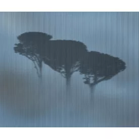 Wall&Deco  CWC  Flower and Paints