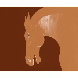 Wall&Deco  CWC  Animals