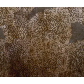 Wall&Deco  CWC  Abstract