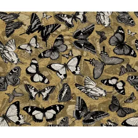 Wall&Deco  CWC  Animals