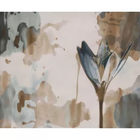 Wall&Deco  CWC  Flower and Paints