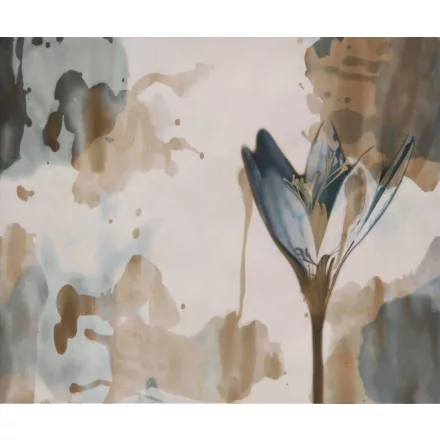 Wall&Deco  CWC  Flower and Paints