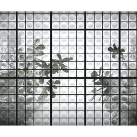 Wall&Deco  CWC  Flower and Paints