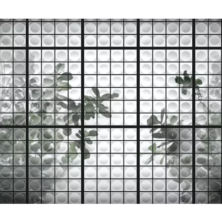 Wall&Deco  CWC  Flower and Paints