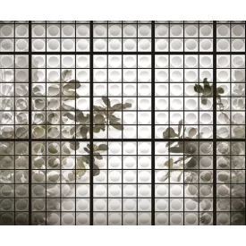 Wall&Deco  CWC  Flower and Paints