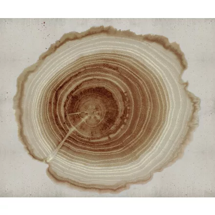 Wall&Deco  CWC  Abstract