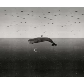 Wall&Deco  CWC  Animals