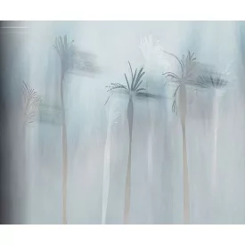 Wall&Deco  CWC  Flower and Paints