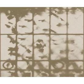 Wall&Deco  CWC  Flower and Paints