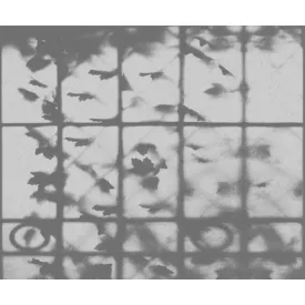 Wall&Deco  CWC  Flower and Paints