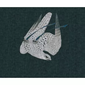 Wall&Deco  CWC  Animals