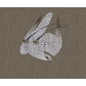 Wall&Deco  CWC  Animals