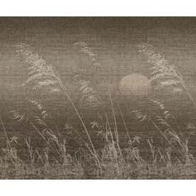 Wall&Deco  CWC  Flower and Paints