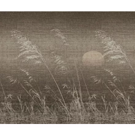 Wall&Deco  CWC  Flower and Paints