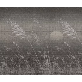 Wall&Deco  CWC  Flower and Paints