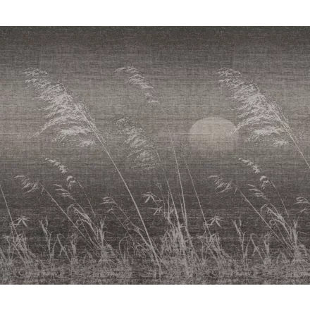 Wall&Deco  CWC  Flower and Paints