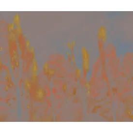 Wall&Deco  CWC  Flower and Paints