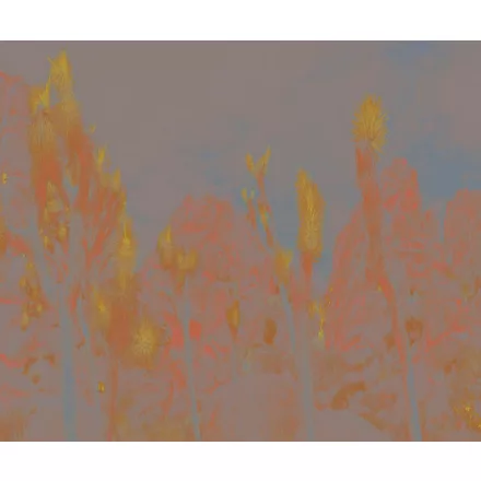 Wall&Deco  CWC  Flower and Paints