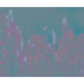 Wall&Deco  CWC  Flower and Paints