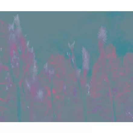 Wall&Deco  CWC  Flower and Paints