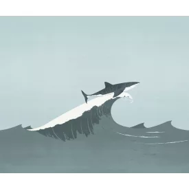 Wall&Deco  CWC  Animals