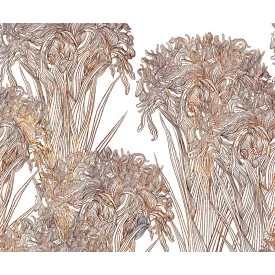 Wall&Deco  CWC  Flower and Paints