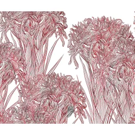 Wall&Deco  CWC  Flower and Paints