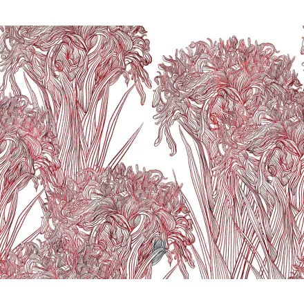 Wall&Deco  CWC  Flower and Paints