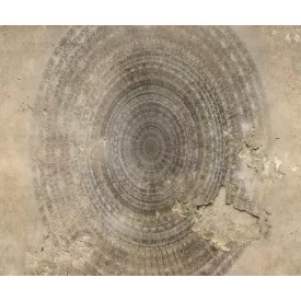 Wall&Deco  CWC  Architecture