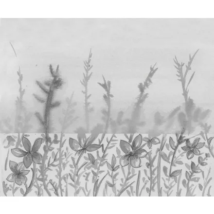 Wall&Deco  CWC  Flower and Paints