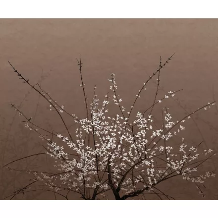 Wall&Deco  CWC  Flower and Paints