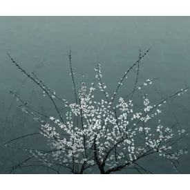 Wall&Deco  CWC  Flower and Paints