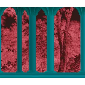 Wall&Deco  CWC  Architecture