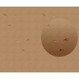 Wall&Deco  CWC  Animals