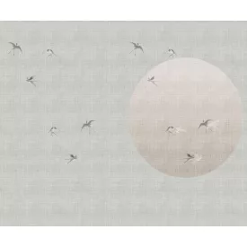 Wall&Deco  CWC  Animals