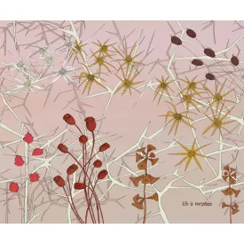 Wall&Deco  CWC  Flower and Paints