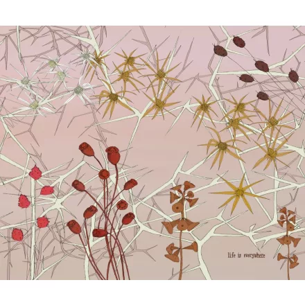 Wall&Deco  CWC  Flower and Paints