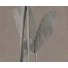 Wall&Deco  CWC  Flower and Paints