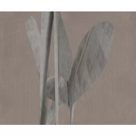 Wall&Deco  CWC  Flower and Paints