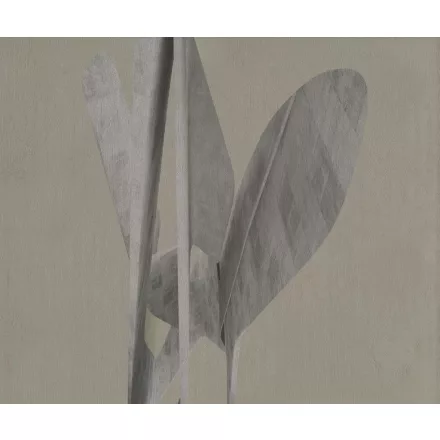 Wall&Deco  CWC  Flower and Paints