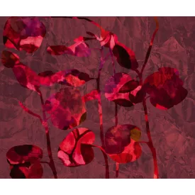 Wall&Deco  CWC  Flower and Paints