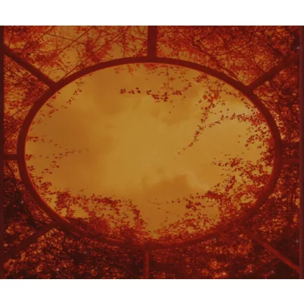 Wall&Deco  CWC  Flower and Paints