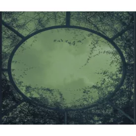 Wall&Deco  CWC  Flower and Paints