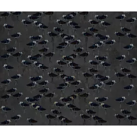 Wall&Deco  CWC  Animals