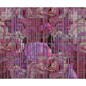 Wall&Deco  CWC  Flower and Paints