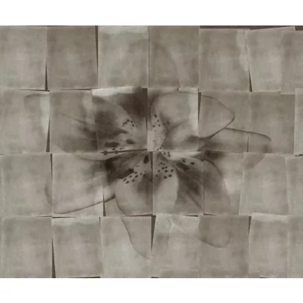 Wall&Deco  CWC  Flower and Paints