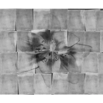 Wall&Deco  CWC  Flower and Paints