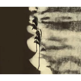 Wall&Deco  CWC  Flower and Paints